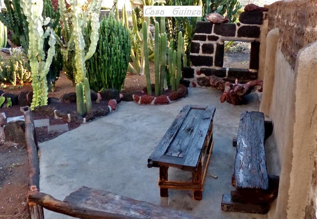 Casa Guinea Konuk evi Jerez de la Jerez de la Frontera Dış mekan fotoğraf