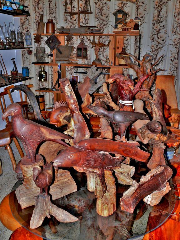 Casa Guinea Konuk evi Jerez de la Jerez de la Frontera Dış mekan fotoğraf